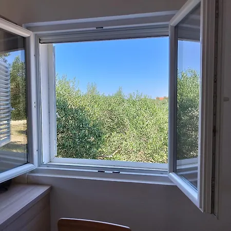 Apartmani Bozava شقة *