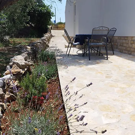 Apartmani Bozava דירה *